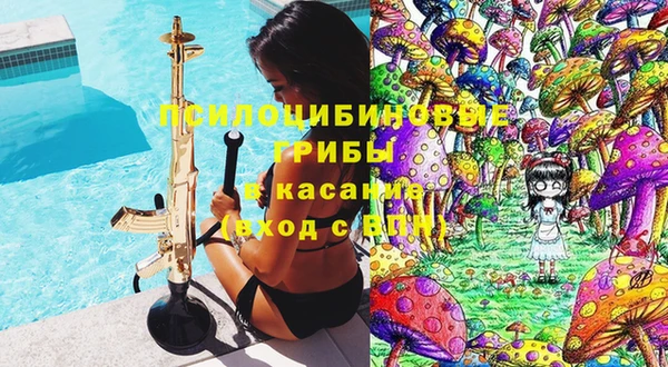дживик Белоозёрский